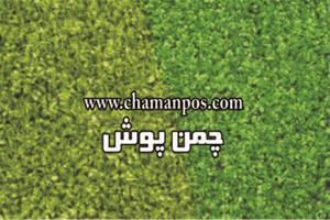 فروش چمن مصنوعی       خریدچمن مصنوعی    چمن مصنوعی برای محوطه سازی      چمن مصنوعی روف گاردن و ورزشی   